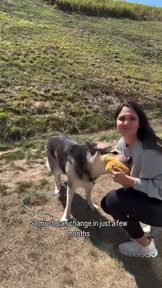 Meg outside with her dogs on a sunny hill